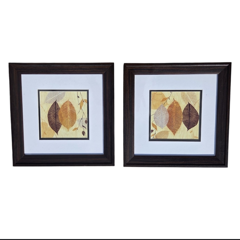 Set of Two Framed Leaf Art Prints